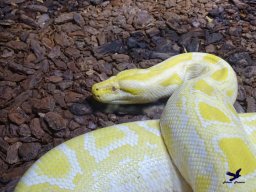 Haus des Meeres 4.02.2026